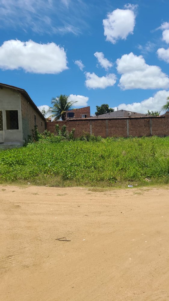 Lote - Venda - Alto do Moura - Caruaru - PE